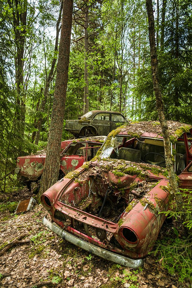 Sweden-Varmland-Bastnas-Bastnas Car Cemetery public park-antique car junkyard art print by Walter Bibikow for $57.95 CAD
