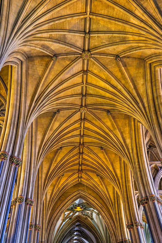 United Kingdom, England, Bristol. Bristol Cathedral. art print by Hollice Looney for $57.95 CAD