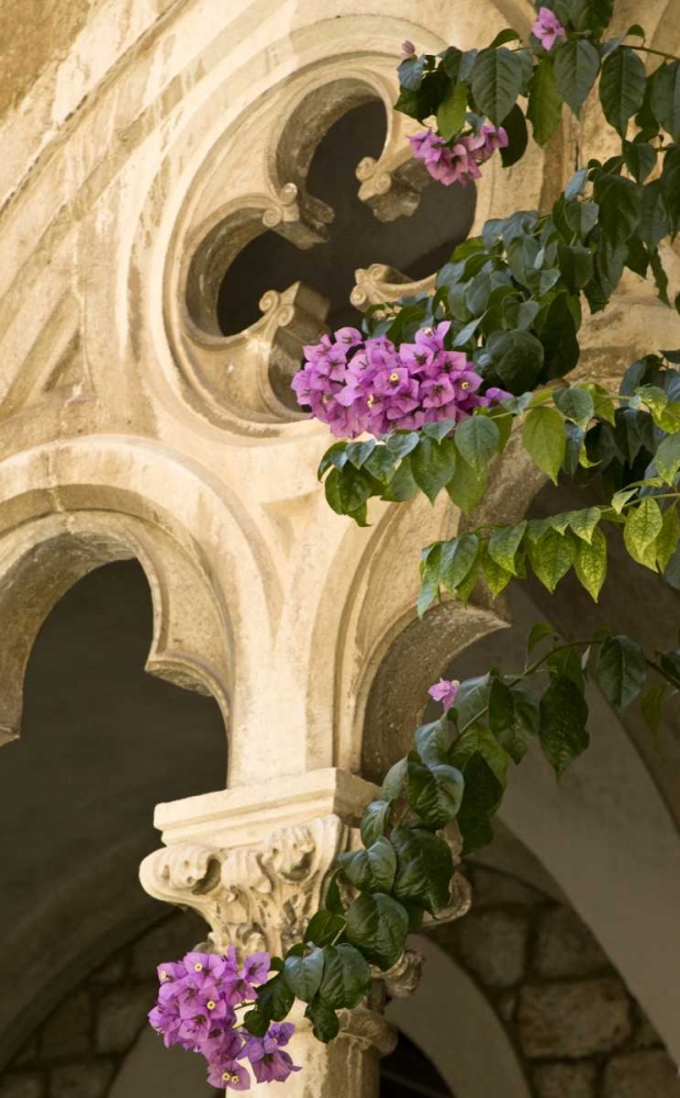 Croatia, Dubrovnik Flowers and church archway art print by Wendy Kaveney for $57.95 CAD