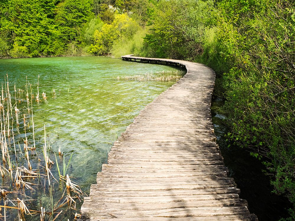Croatia-Boardwalk in Plitvice Lakes National Park. art print by Julie Eggers for $57.95 CAD
