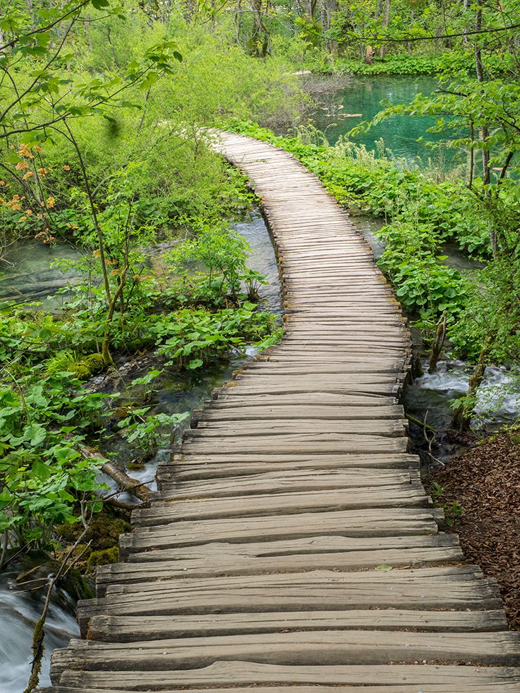 Croatia-Boardwalk in Plitvice Lakes National Park. art print by Julie Eggers for $57.95 CAD
