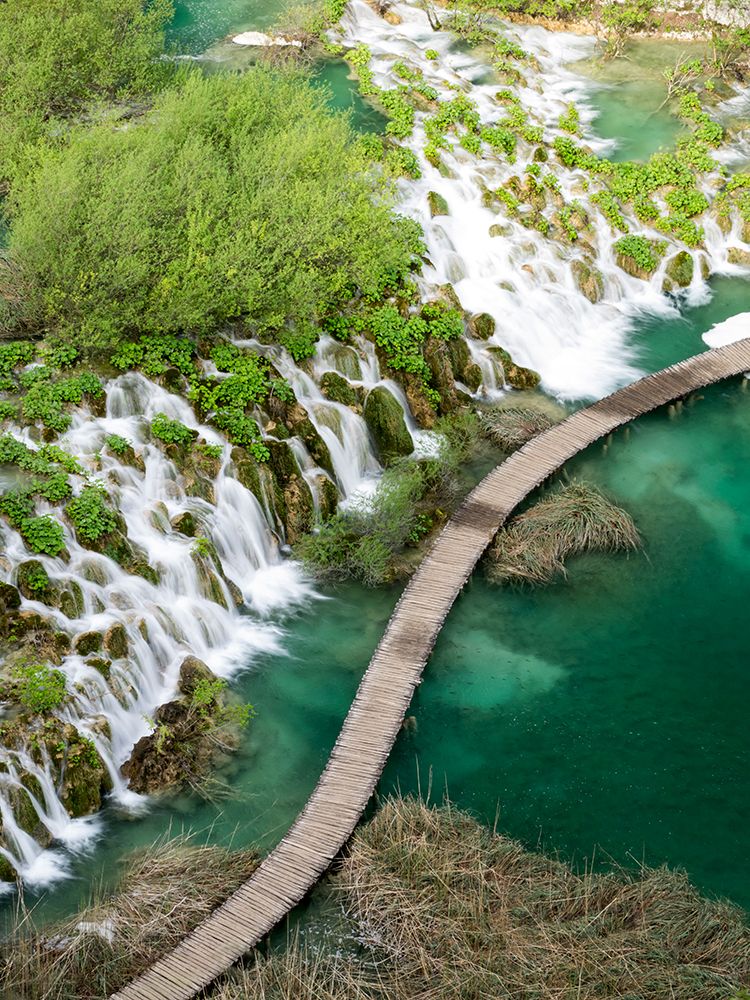 Croatia-Plitvice Lakes National Park. Boardwalk along the Plitvice lakes national park. art print by Julie Eggers for $57.95 CAD