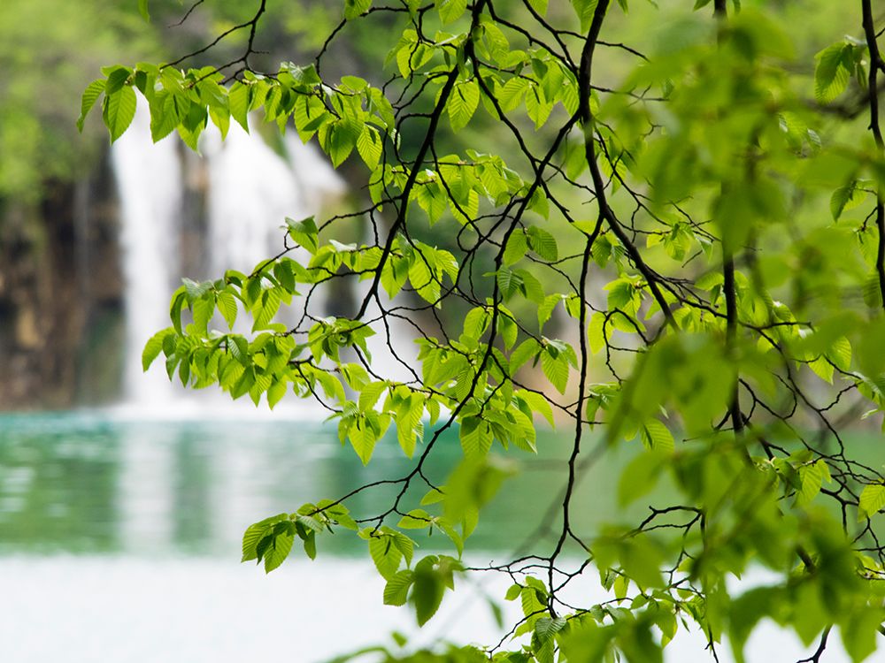 Croatia-Plitvice Lakes National Park. The Plitvice Lakes in the National Park Plitvicka Jezera. art print by Julie Eggers for $57.95 CAD