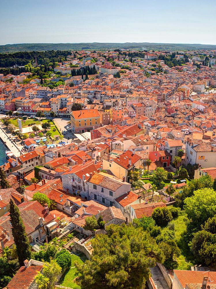Croatia-Rovinj-Istria. Town of Rovinj and harbor. art print by Julie Eggers for $57.95 CAD