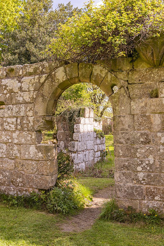 Jervaulx, Ripon, North Yorkshire, England.  Jervaulx Abbey, a 12th century Cistercians monastery. art print by Emily M. Wilson for $57.95 CAD