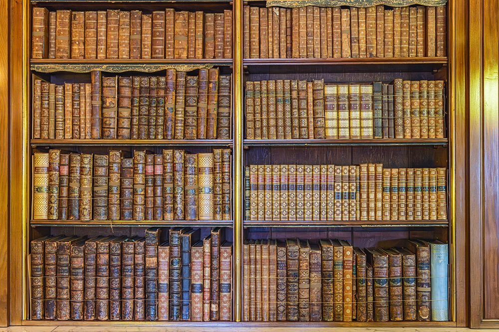 Harewood, Leeds, West Yorkshire, England. Books in Harewood House, an 18th Century Treasure House. art print by Emily M. Wilson for $57.95 CAD