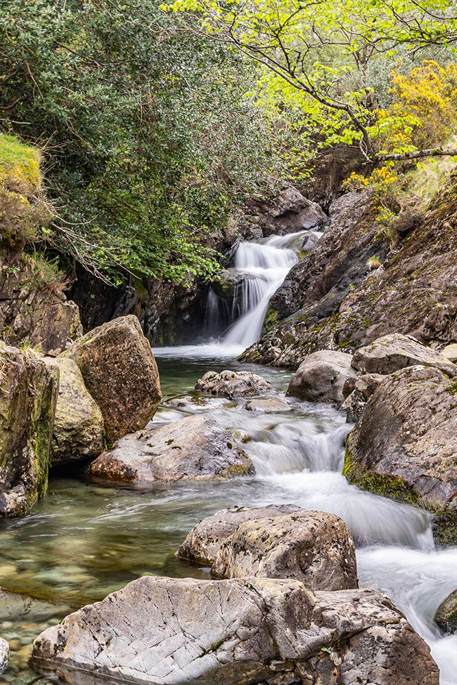 Wasdale Head, Seascale, Cumbria, England. A small rocky stream in Lake District National Park. art print by Emily M. Wilson for $57.95 CAD