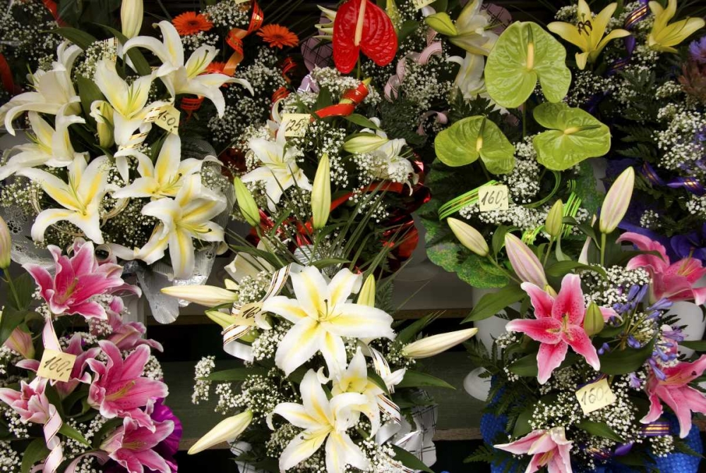Estonia, Tallinn Flowers for sale at market art print by Nancy, Steve Ross for $57.95 CAD