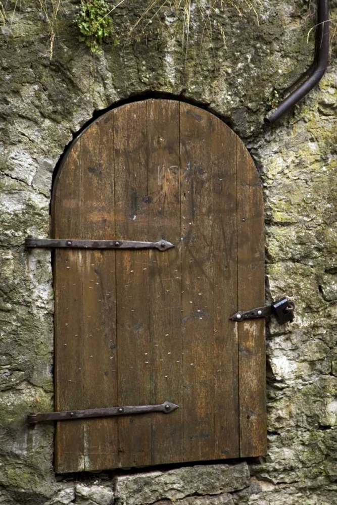 Estonia, Tallinn Old wooden door in stone wall art print by Nancy, Steve Ross for $57.95 CAD