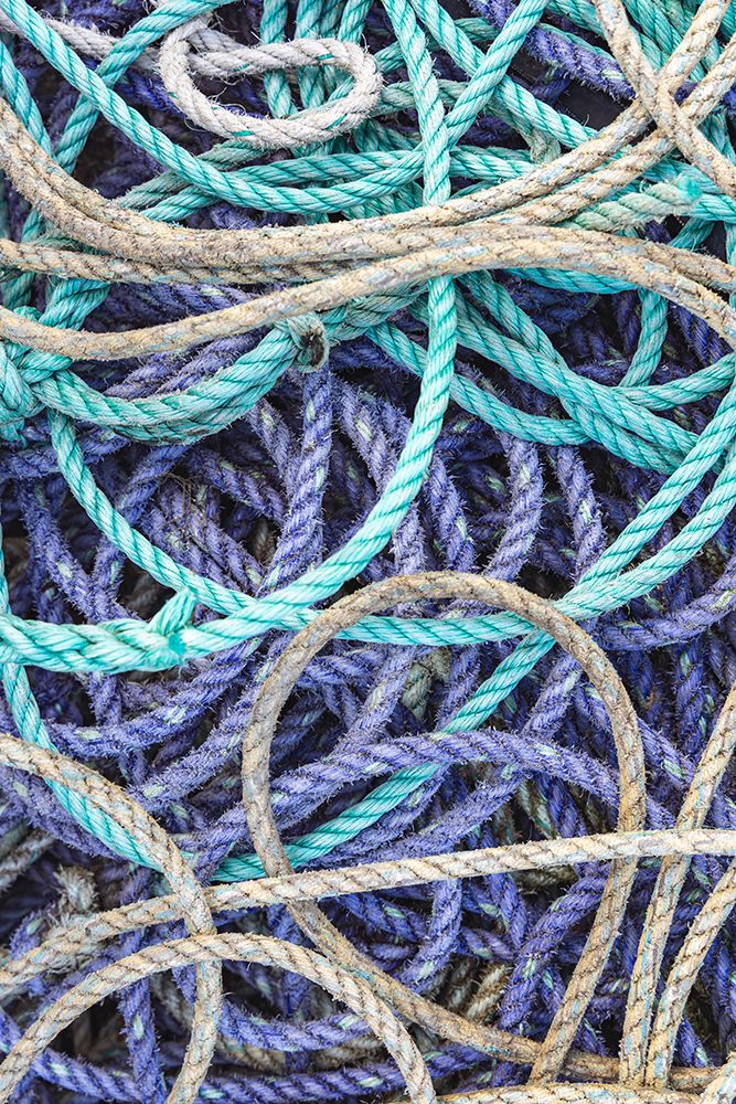 Amble, Morpeth, Northumberland, England. Purple and green ropes on the docks of Amble. art print by Emily M. Wilson for $57.95 CAD