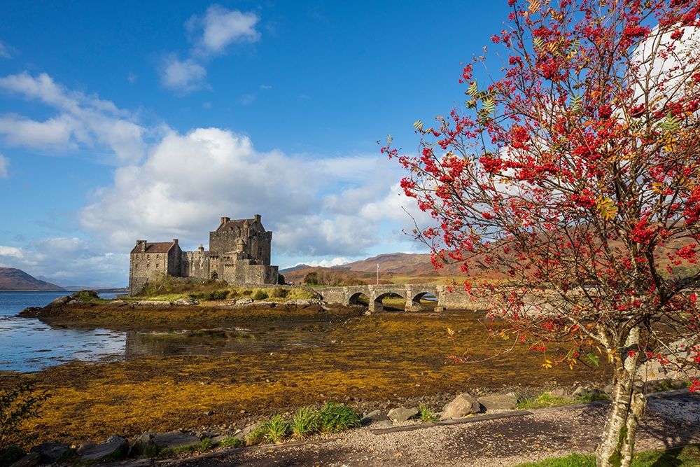 Eilean Donan Castle Isle of Skye-Scotland art print by Tom Norring for $57.95 CAD