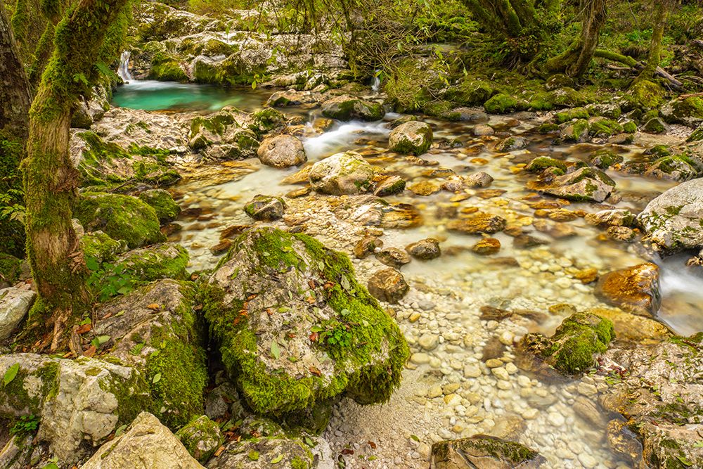 Slovenia, Triglav National Park. Soca River rapids and waterfall. art print by Jaynes Gallery for $57.95 CAD
