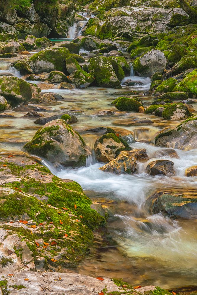 Slovenia, Triglav National Park, Soca River. Scenic with rocky stream. art print by Jaynes Gallery for $57.95 CAD