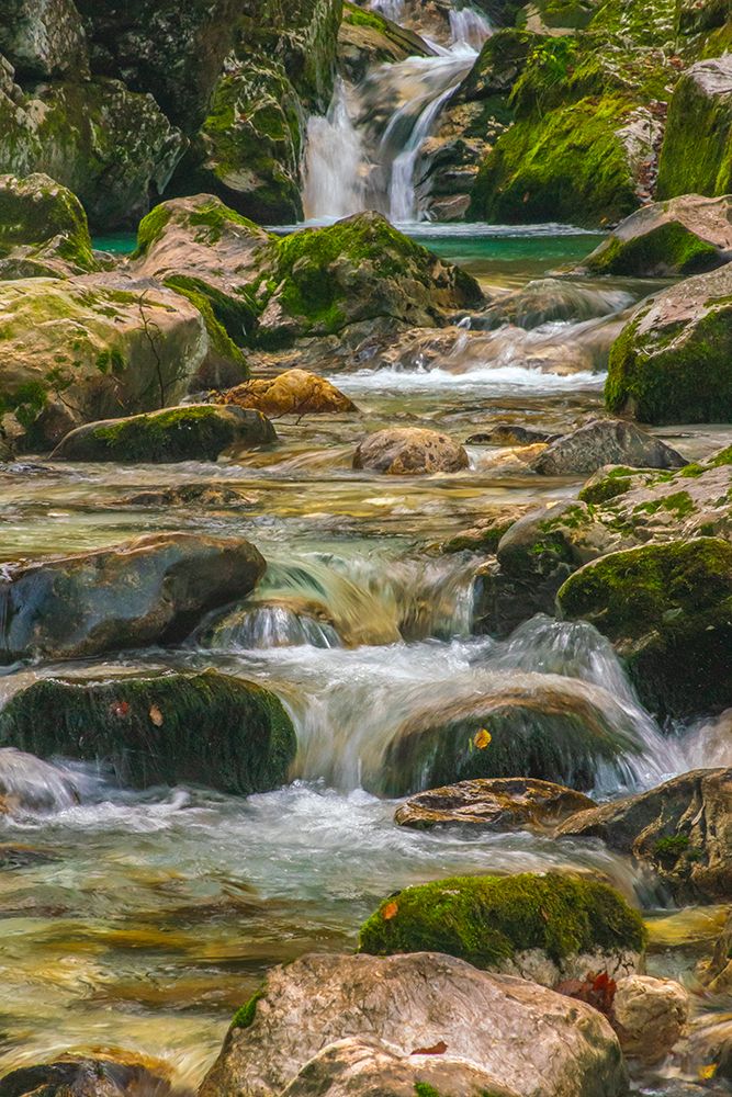 Slovenia, Triglav National Park. Soca River waterfall and rapids. art print by Jaynes Gallery for $57.95 CAD