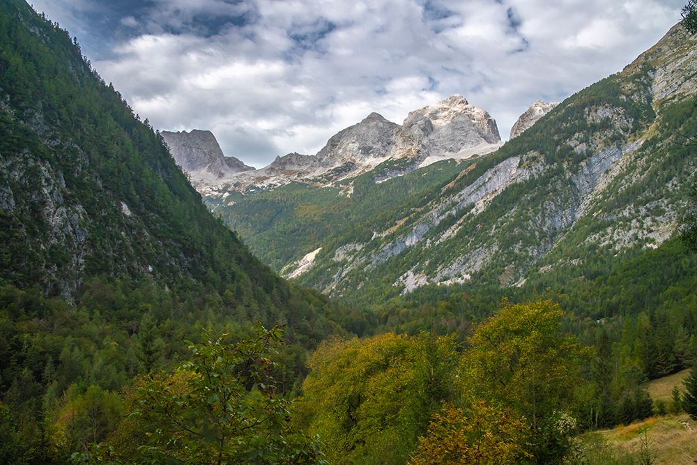 Slovenia, Triglav National Park. Landscape with Julian Alps. art print by Jaynes Gallery for $57.95 CAD