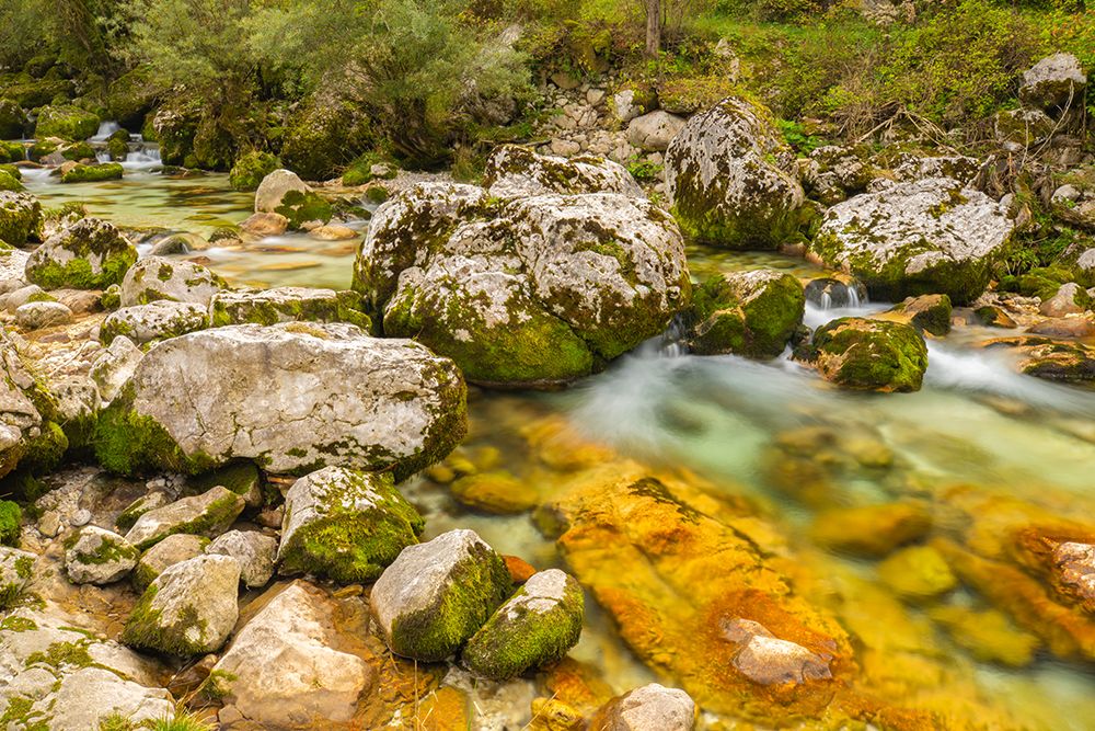 Slovenia, Triglav National Park, Soca River. Scenic with rocky stream. art print by Jaynes Gallery for $57.95 CAD