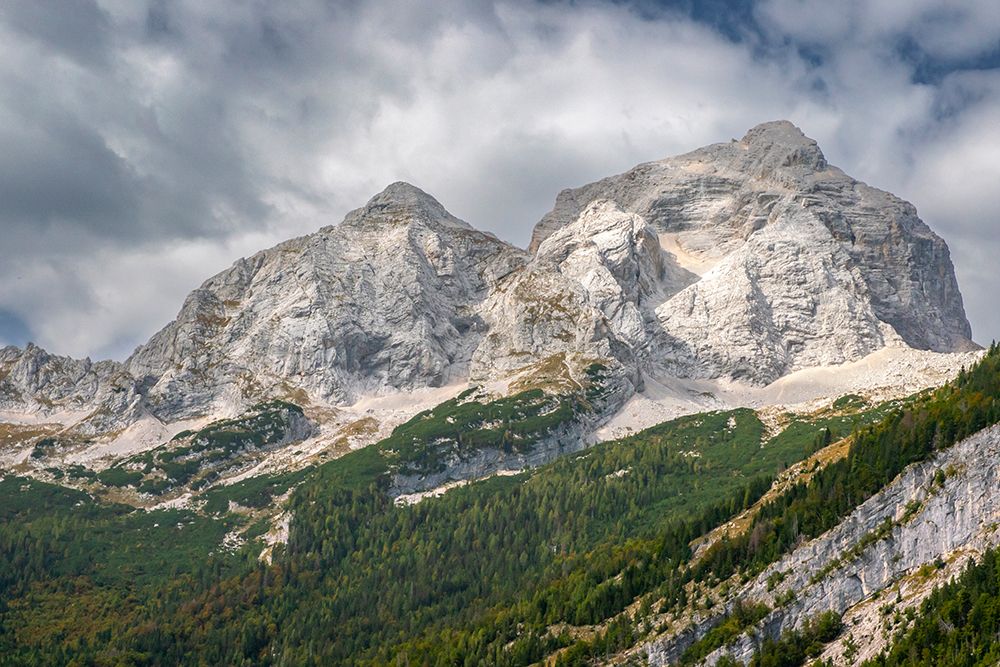 Slovenia, Triglav National Park. Landscape with forest and Julian Alps. art print by Jaynes Gallery for $57.95 CAD