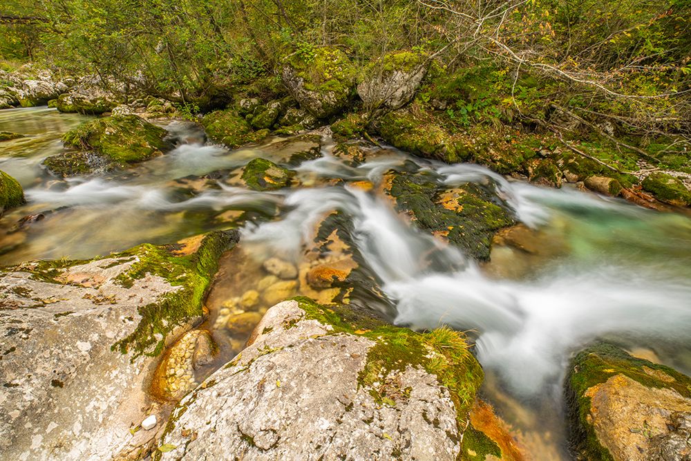 Slovenia, Triglav National Park, Soca River. Scenic with rocky stream. art print by Jaynes Gallery for $57.95 CAD