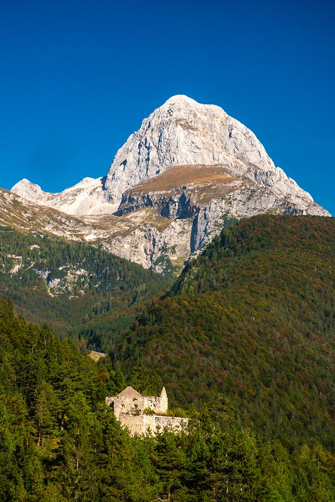 Slovenia, Triglav National Park, Julian Alps. Landscape with Mt. Mangart and castle ruin in forest. art print by Jaynes Gallery for $57.95 CAD