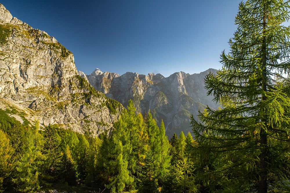 Slovenia, Triglav National Park. Landscape with Julian Alps. art print by Jaynes Gallery for $57.95 CAD