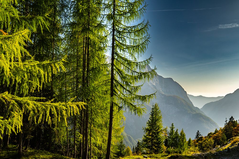 Slovenia, Triglav National Park. Landscape with Julian Alps. art print by Jaynes Gallery for $57.95 CAD