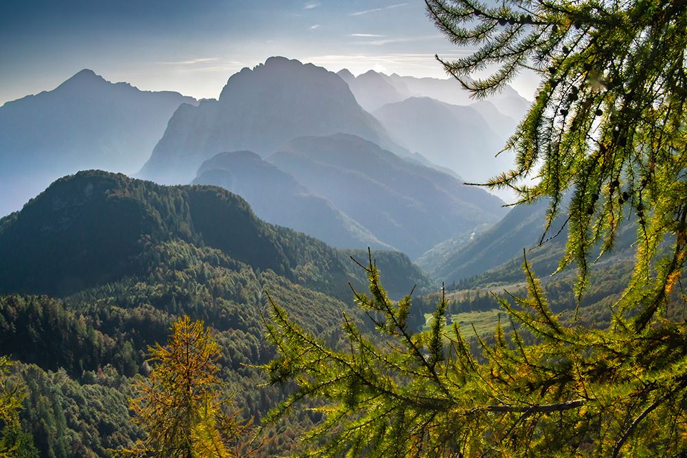 Slovenia, Triglav National Park. Landscape with forest and Julian Alps. art print by Jaynes Gallery for $57.95 CAD