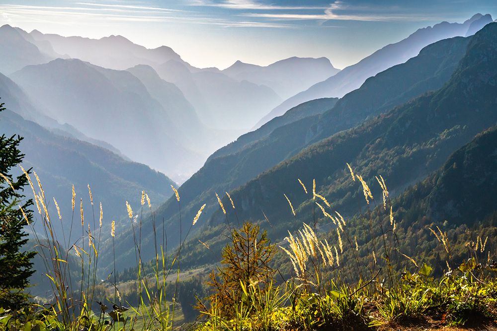 Slovenia, Triglav National Park. Landscape with Julian Alps. art print by Jaynes Gallery for $57.95 CAD