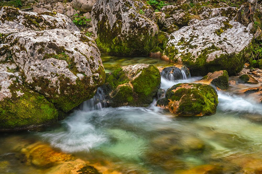 Slovenia, Triglav National Park, Soca River. Scenic with rocky stream. art print by Jaynes Gallery for $57.95 CAD