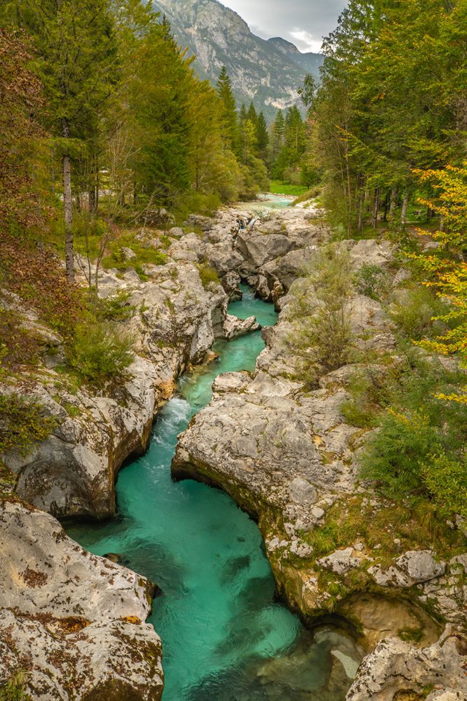 Slovenia, Triglav National Park, Soca River. Landscape with river in rocky gorge. art print by Jaynes Gallery for $57.95 CAD