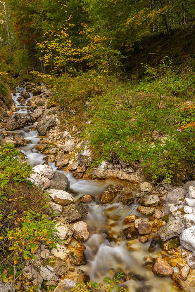 Slovenia, Triglav National Park, Julian Alps. Pericnik Falls creek cascade. art print by Jaynes Gallery for $57.95 CAD