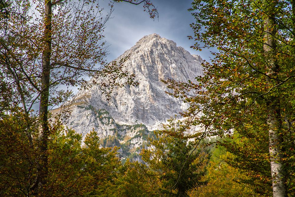 Slovenia, Triglav National Park. Landscape with Julian Alps in autumn. art print by Jaynes Gallery for $57.95 CAD