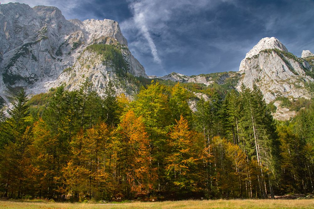 Slovenia, Triglav National Park. Julian Alps and forest in autumn. art print by Jaynes Gallery for $57.95 CAD