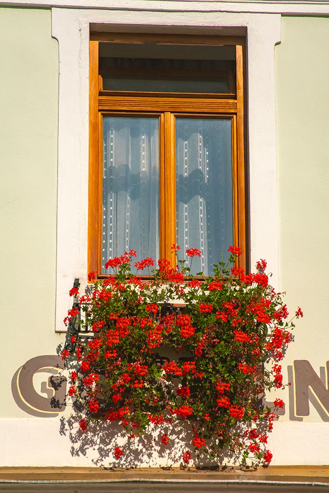 Slovenia, Randovljika. Window and flower box in town. art print by Jaynes Gallery for $57.95 CAD