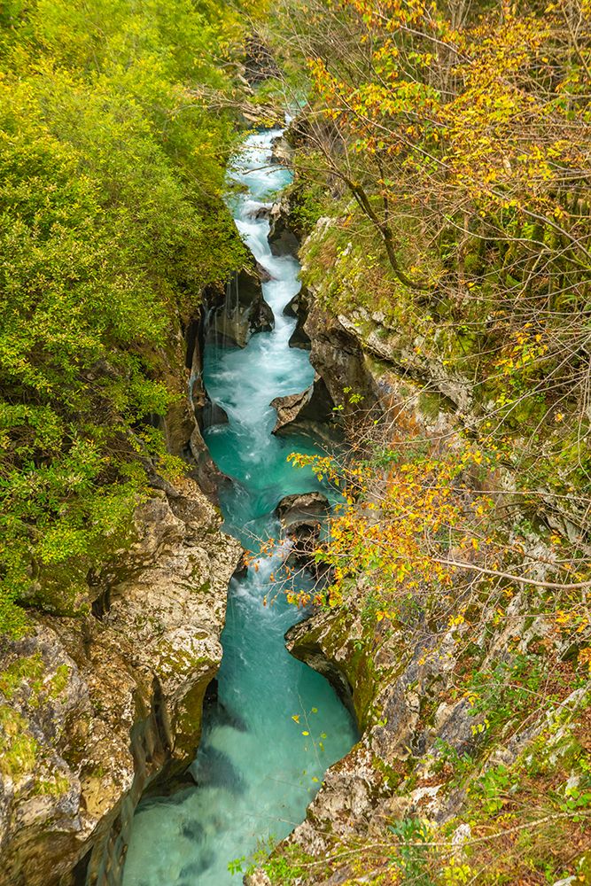 Slovenia, Triglav National Park, Soca River. Scenic with river in rocky gorge. art print by Jaynes Gallery for $57.95 CAD