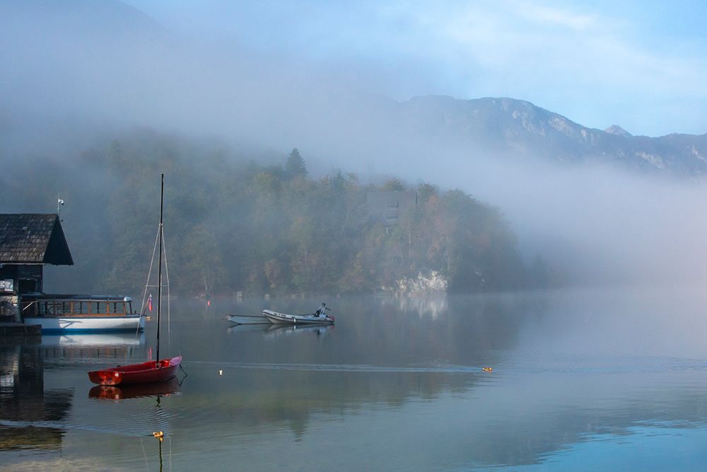 Slovenia, Lake Bohinj. Lake boats on foggy morning. art print by Jaynes Gallery for $57.95 CAD