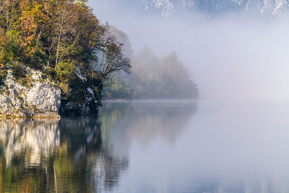 Slovenia, Lake Bohinj. Foggy morning on lake. art print by Jaynes Gallery for $57.95 CAD