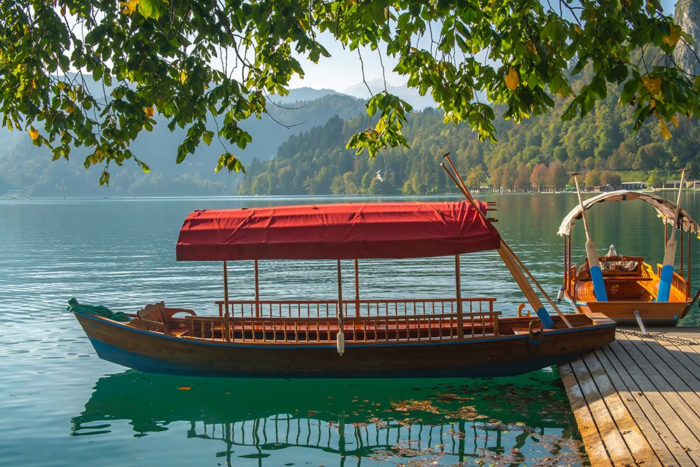 Slovenia, Bled, Lake Bled. Close-up of traditional wooden flat-bottom boats. art print by Jaynes Gallery for $57.95 CAD