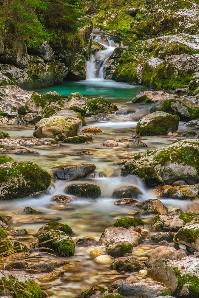 Slovenia, Triglav National Park. Soca River waterfall and rapids. art print by Jaynes Gallery for $57.95 CAD