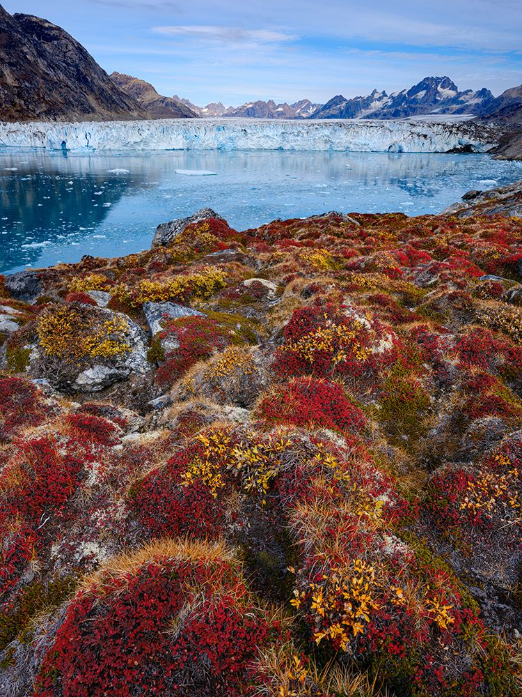 Glacier Sermiligaaq Fjord. Ammassalik area in Greenland, Tasiilaq, autumn art print by Martin Zwick for $57.95 CAD