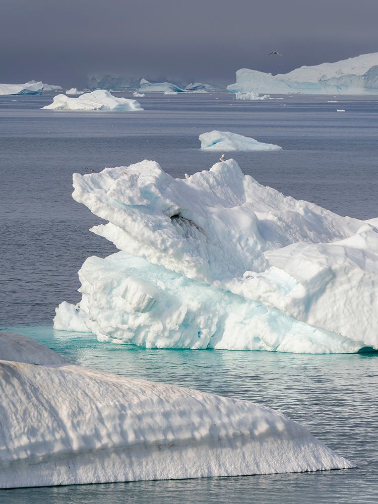 Iceberg in Itilliarsuup Kangerlua Fjord part of Uummannaq Fjord, north of polar circle. Greenland. art print by Martin Zwick for $57.95 CAD