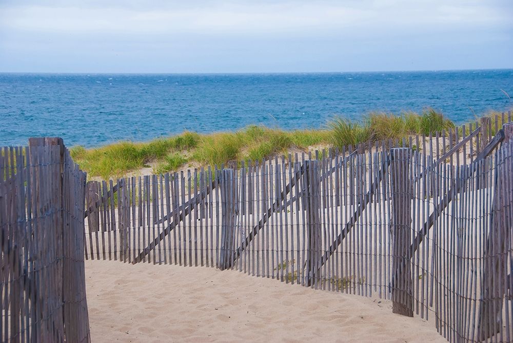 Path to the Beach art print by Anna Miller for $57.95 CAD