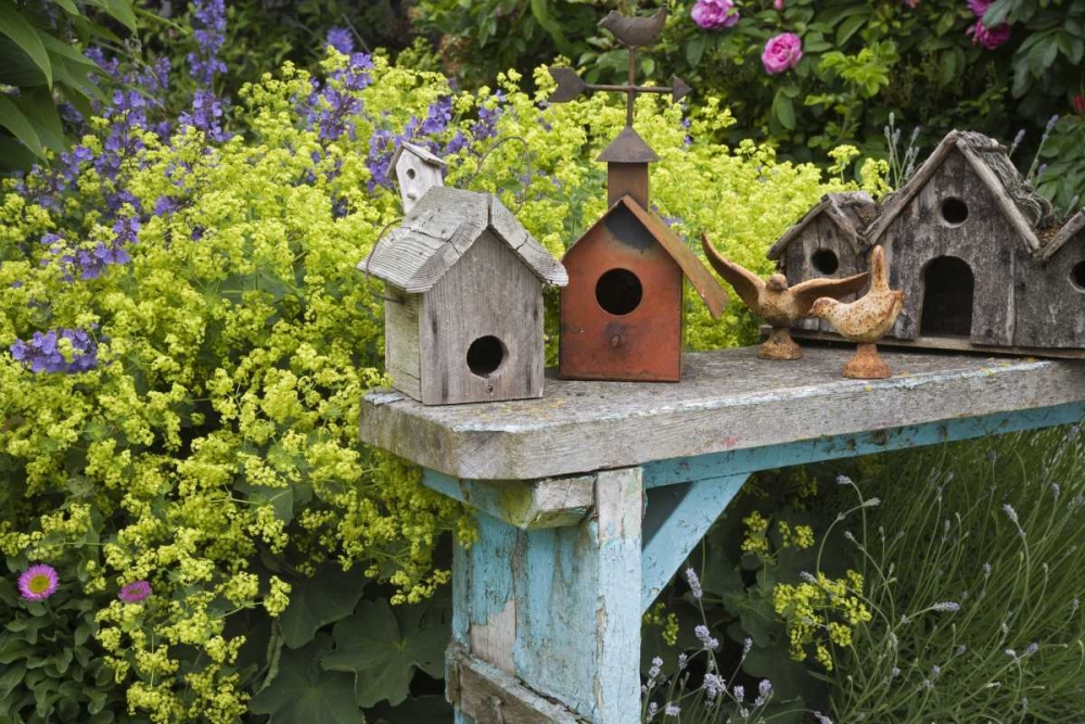 Bird houses on bench in garden art print by Don Paulson for $57.95 CAD