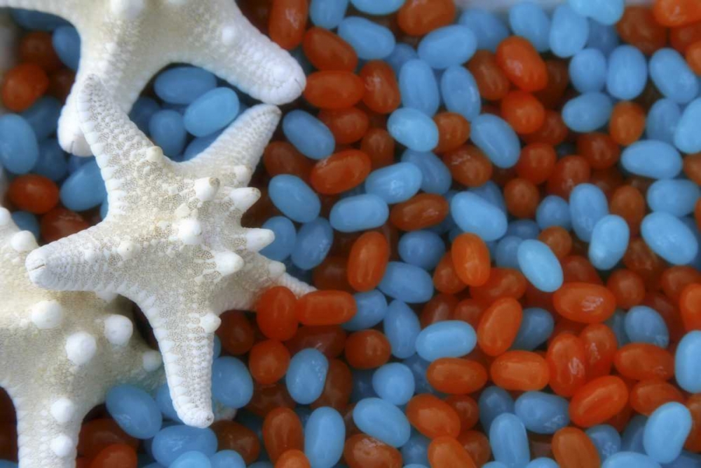 Red and blue jelly beans and white starfish art print by Don Paulson for $57.95 CAD