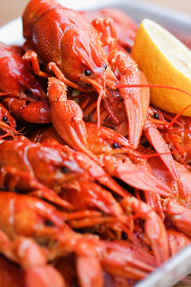Crayfish close-up art print by Majority World CIC for $57.95 CAD