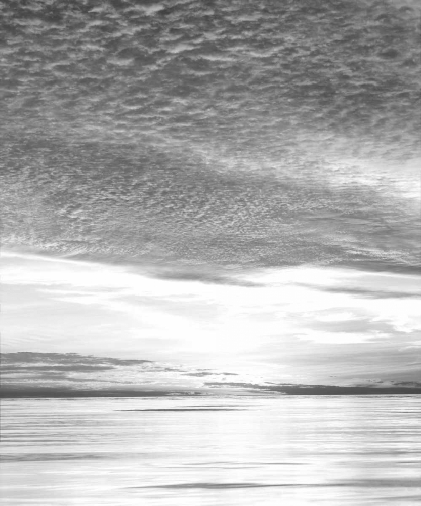 California, San Diego Sunset Cliffs at Sunset art print by Christopher Talbot Frank for $57.95 CAD