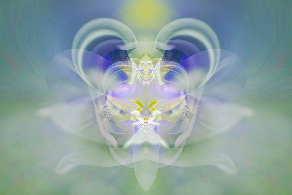 Star of Bethlehem art print by Adam Jones for $57.95 CAD