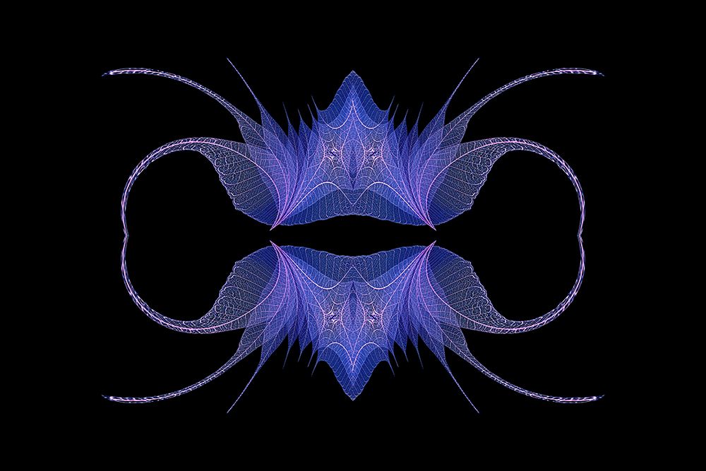 Blue and pink colored skeleton leaves arranged on black background art print by Adam Jones for $57.95 CAD