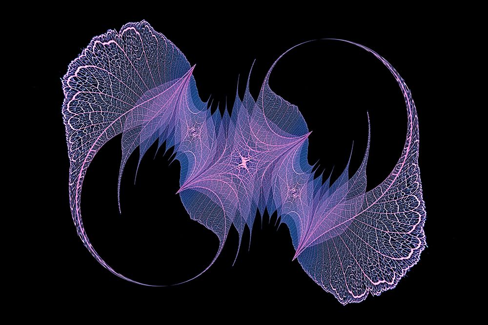 Blue and purple colored skeleton leaves arranged on black background art print by Adam Jones for $57.95 CAD
