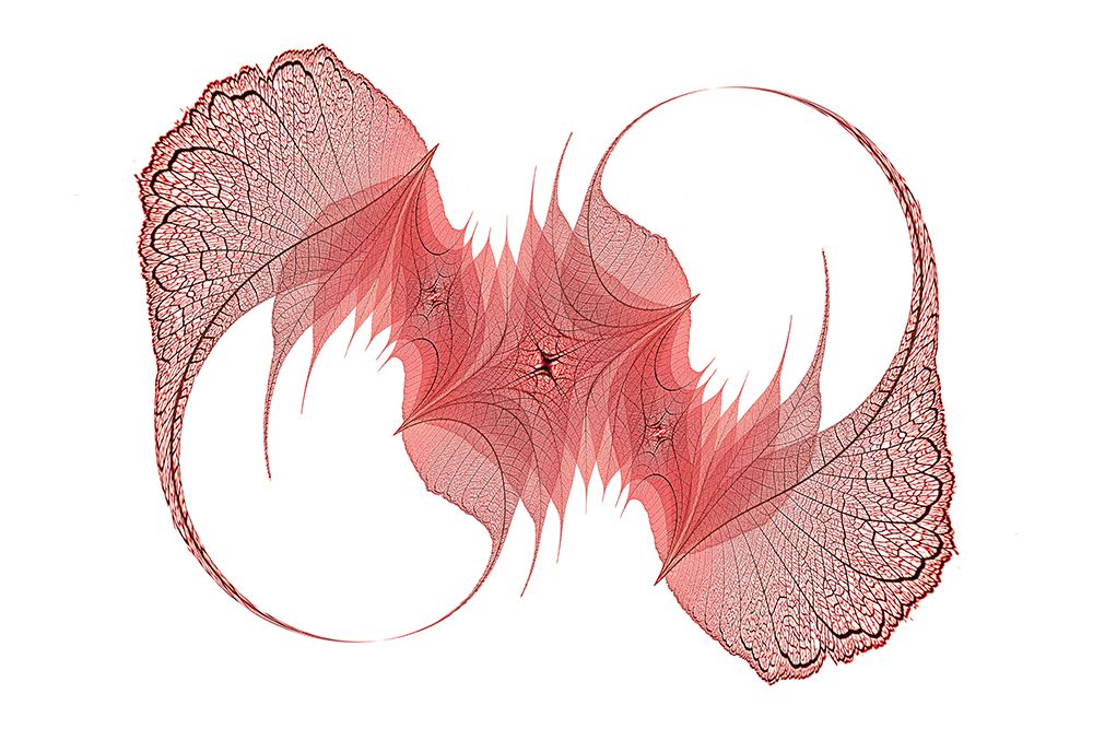 Red colored skeleton leaves arranged on black background art print by Adam Jones for $57.95 CAD