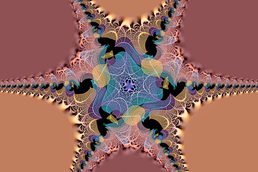 Multi-colored skeleton leaves arranged on black background art print by Adam Jones for $57.95 CAD